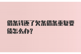 麻栗坡讨债公司成功追讨回批发货款50万成功案例